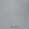 A1