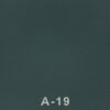 A19